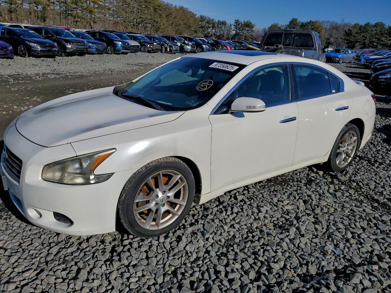 2010 NISSAN MAXIMA