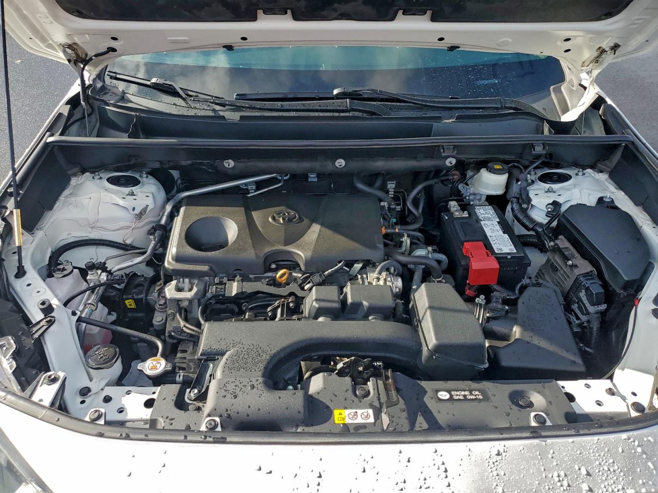 2022 TOYOTA RAV4 LE photo 12