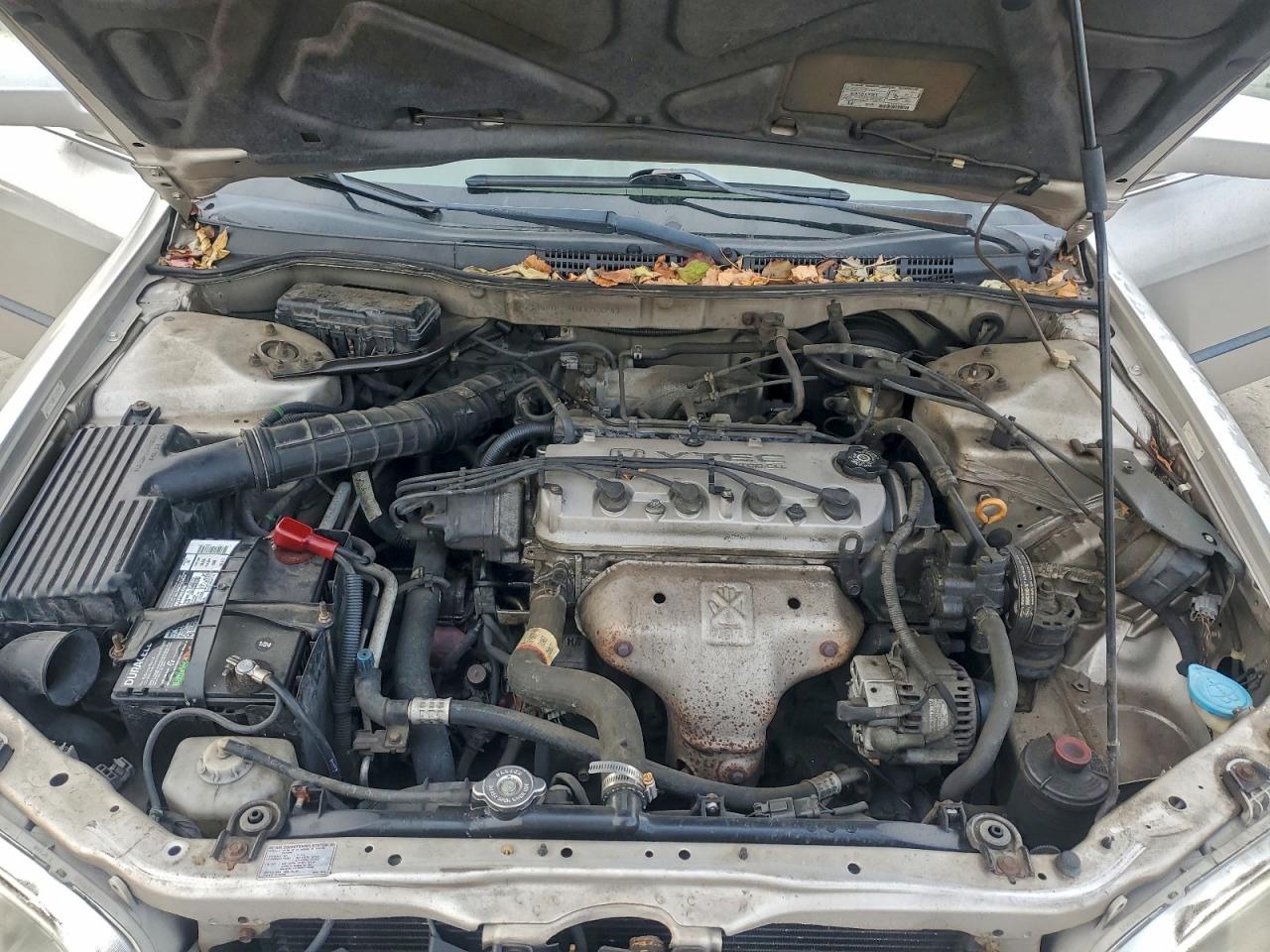1998 HONDA ACCORD LX photo 11