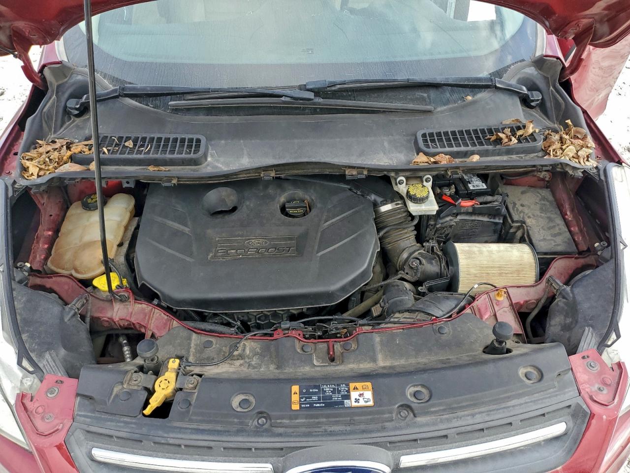 2014 FORD ESCAPE SE photo 12
