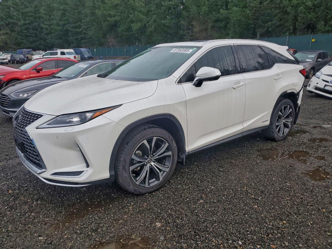 2022 LEXUS RX
