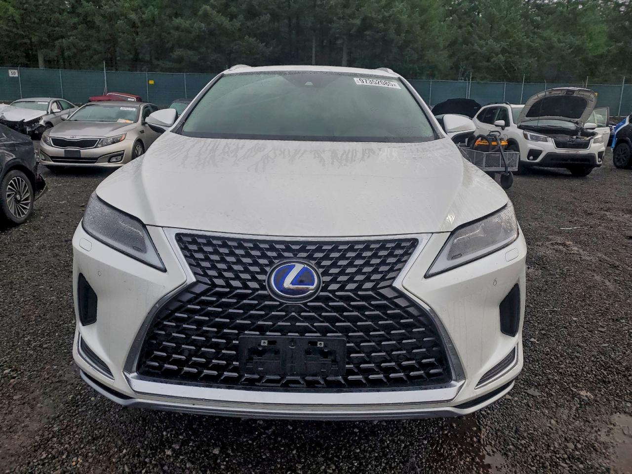2022 LEXUS RX 450H L photo 13