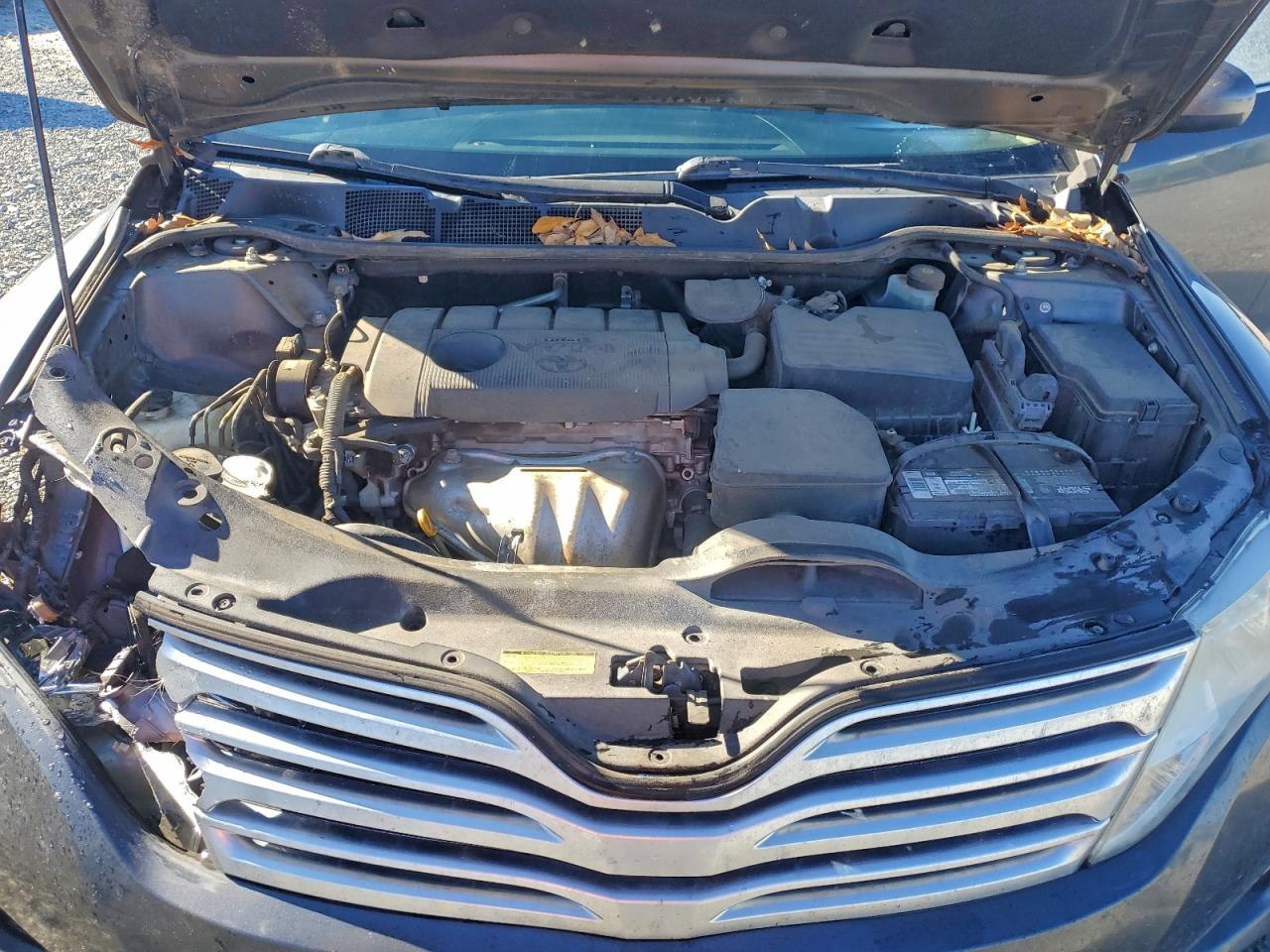 2010 TOYOTA VENZA photo 45