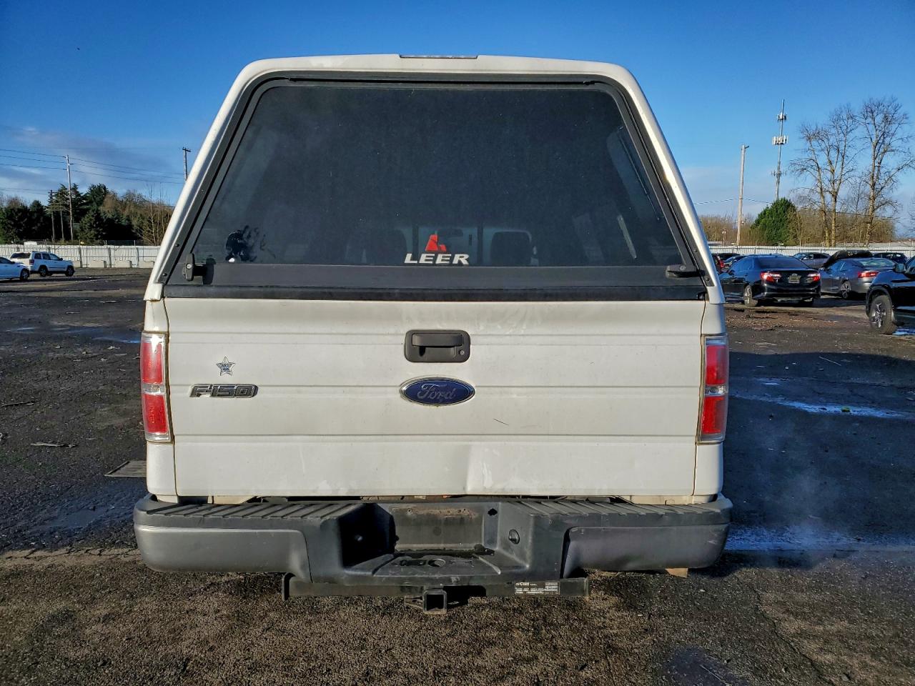 2010 FORD F150 photo 6