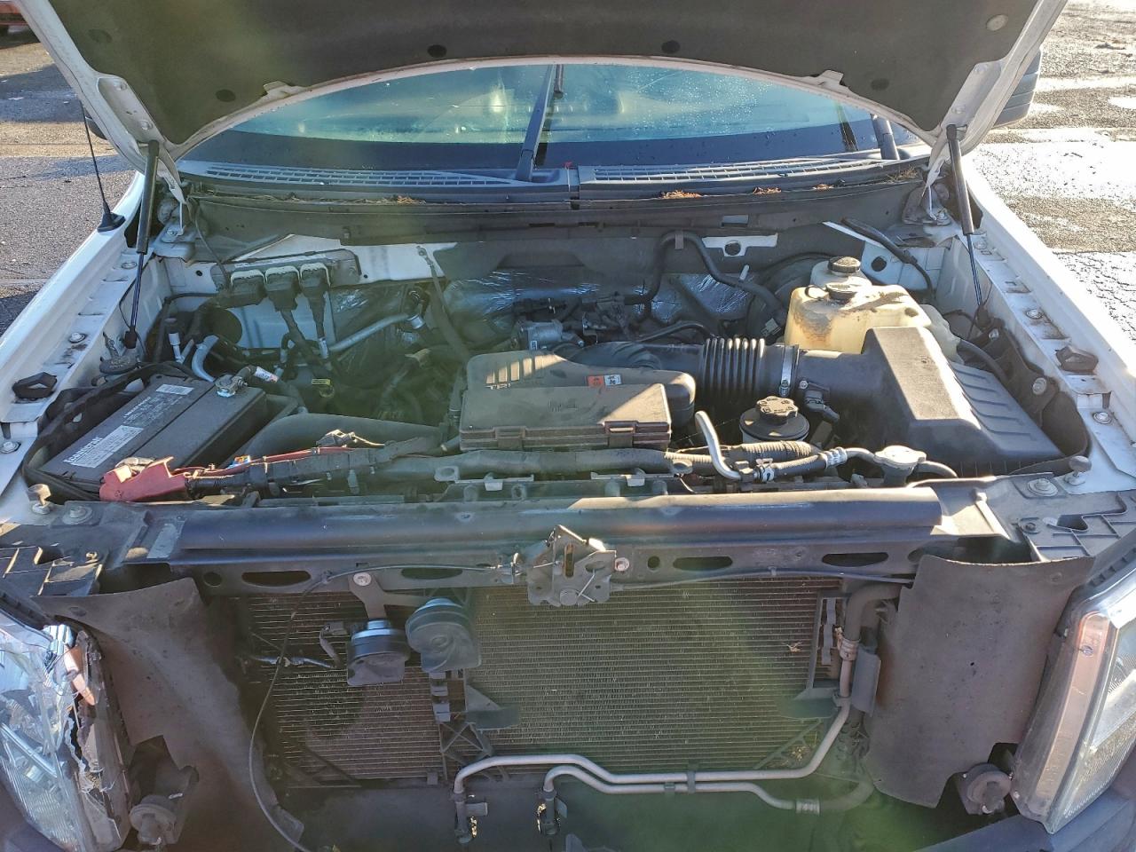 2010 FORD F150 photo 12