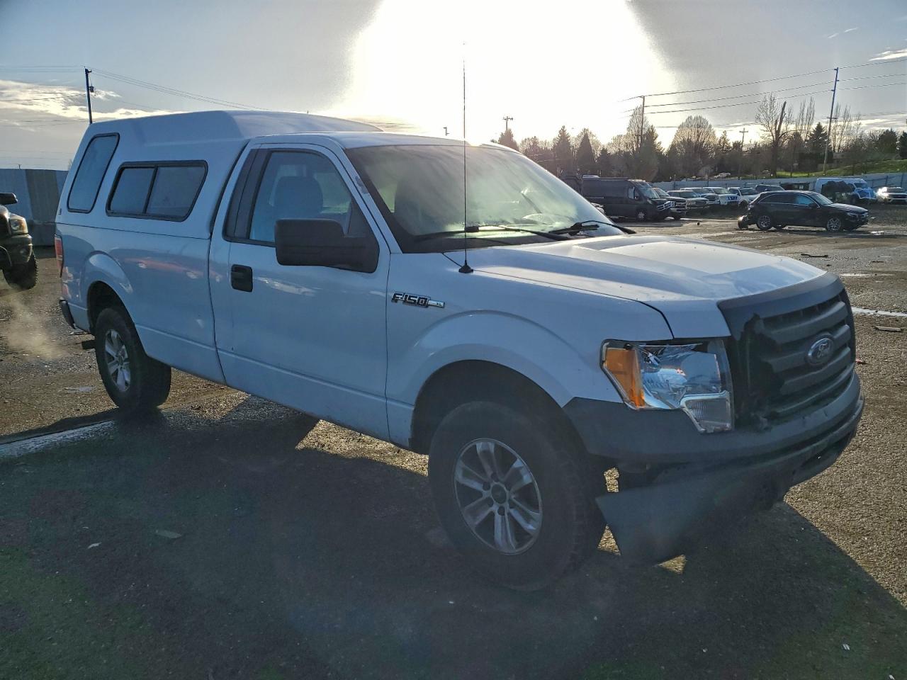 2010 FORD F150 photo 4