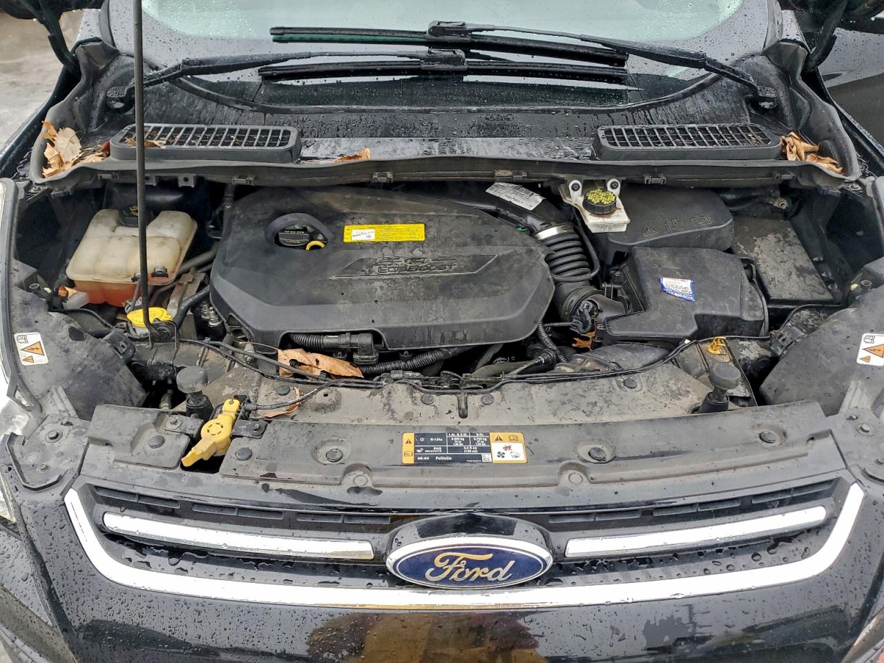 2016 FORD ESCAPE TITANIUM photo 31