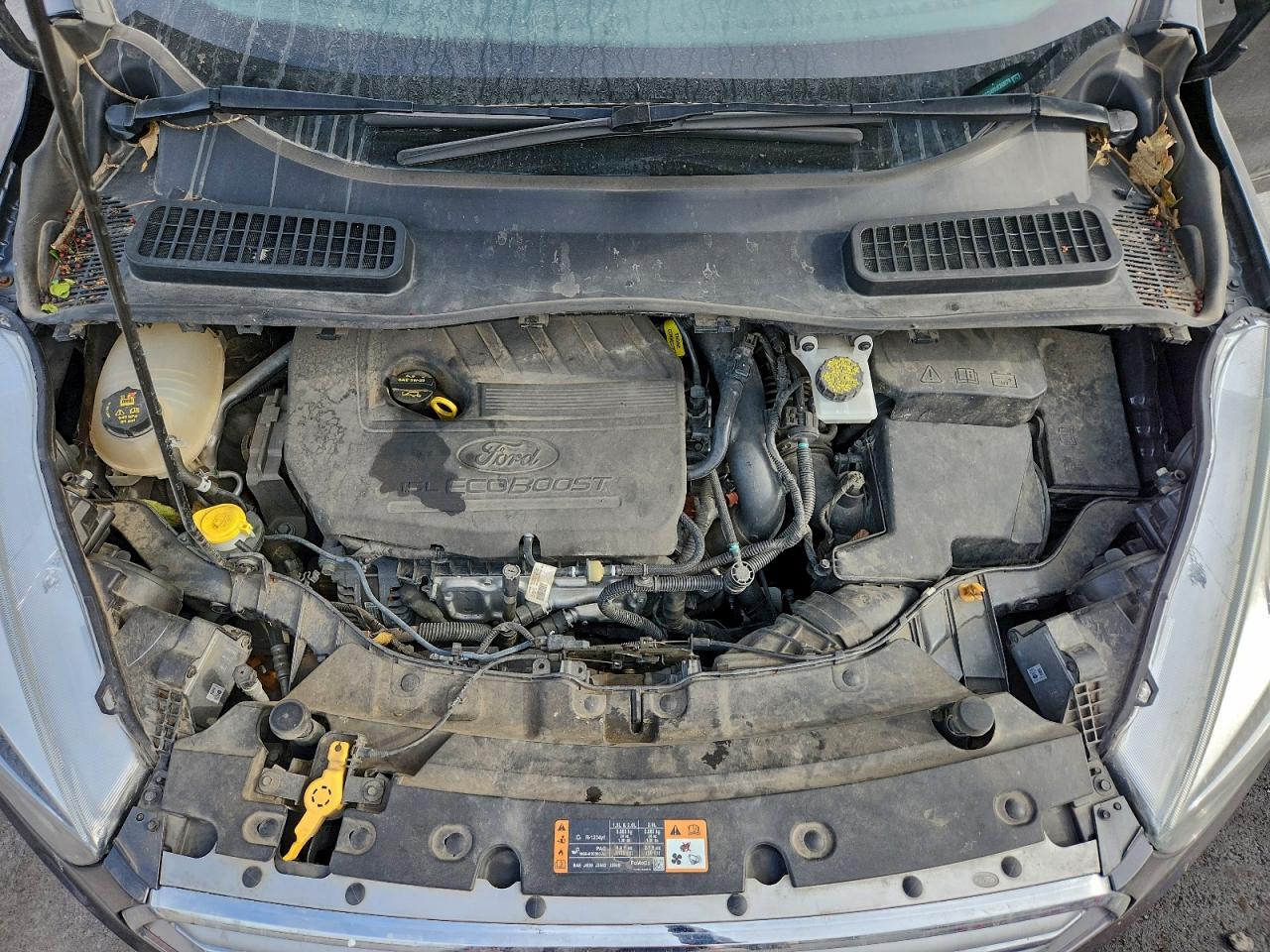 2017 FORD ESCAPE SE photo 34