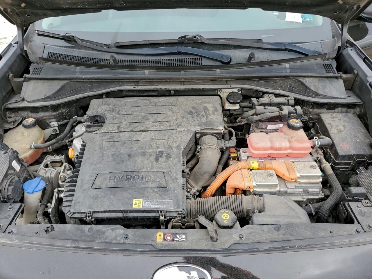 2019 KIA NIRO FE photo 11