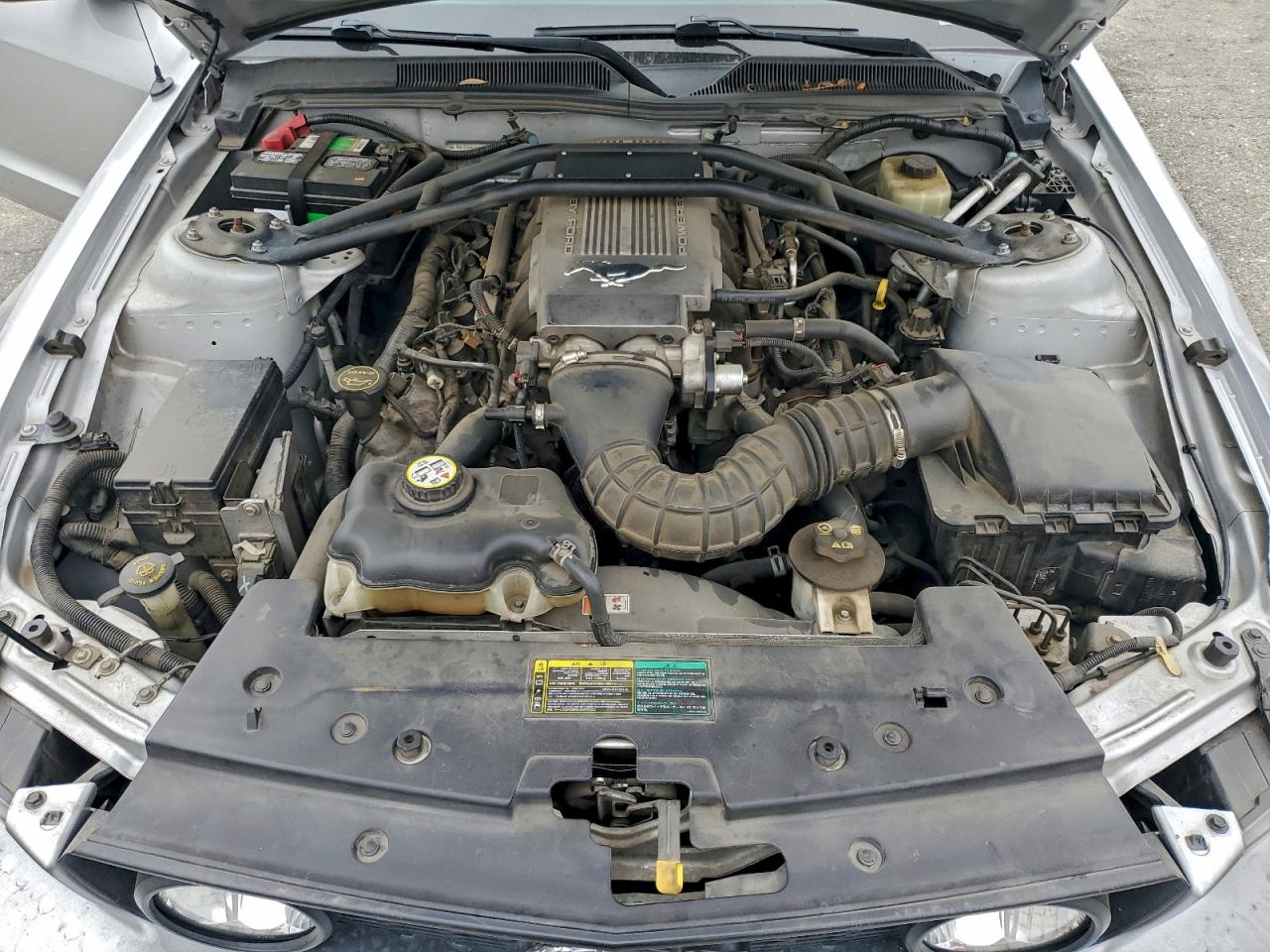 2005 FORD MUSTANG GT photo 11