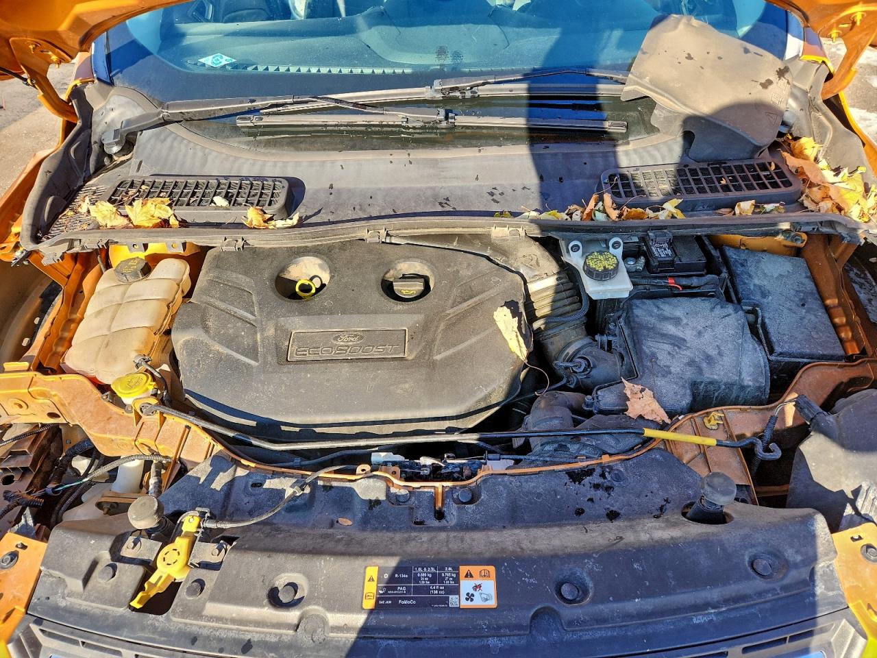 2016 FORD ESCAPE SE photo 12
