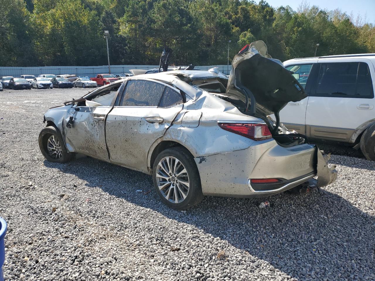 2021 LEXUS ES 250 BASE photo 3