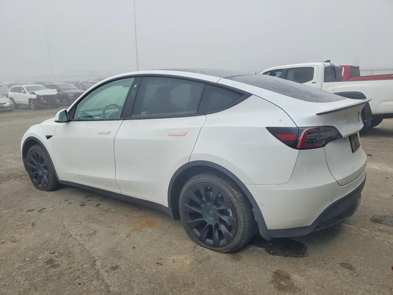 2021 TESLA MODEL Y photo 2