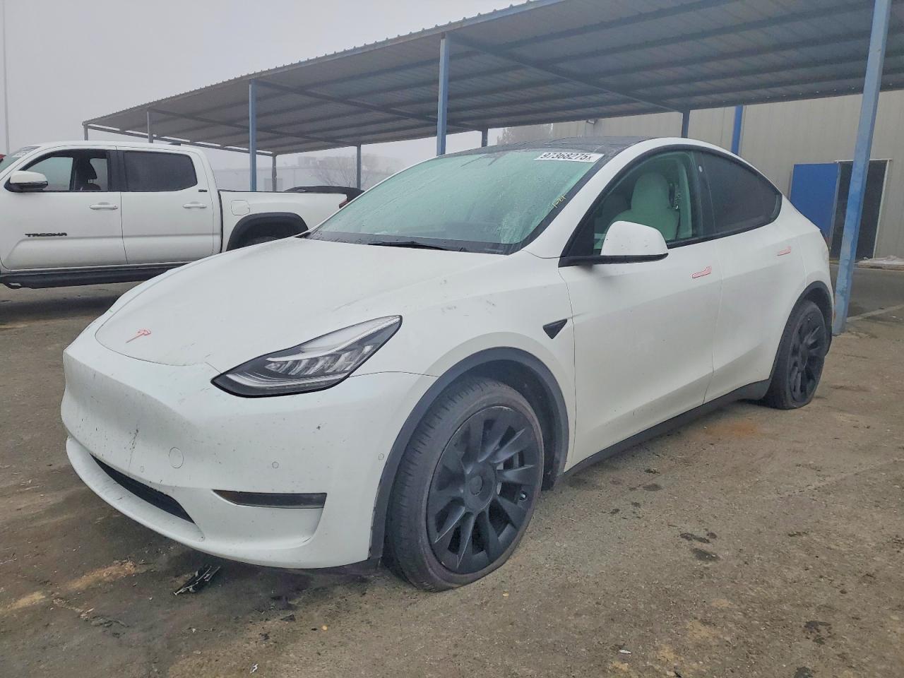 2021 TESLA MODEL Y