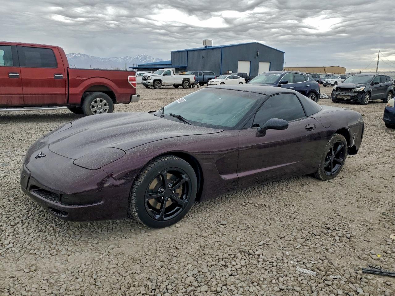 2004 CHEVROLET CORVETTE