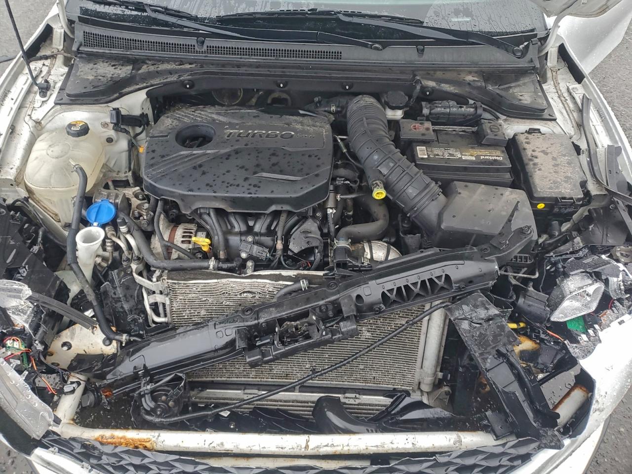 2019 HYUNDAI VELOSTER TURBO photo 11