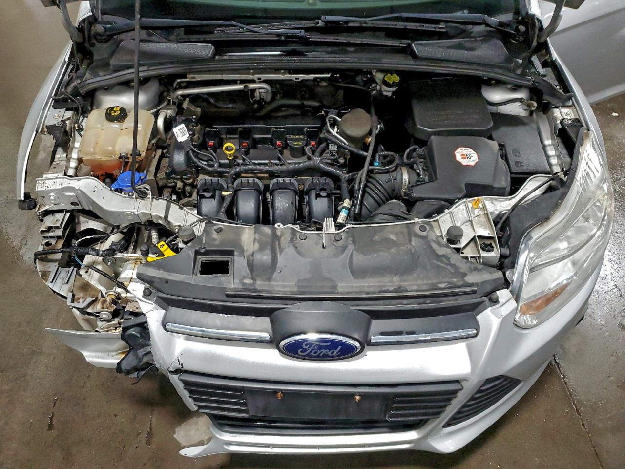 2014 FORD FOCUS SE photo 11