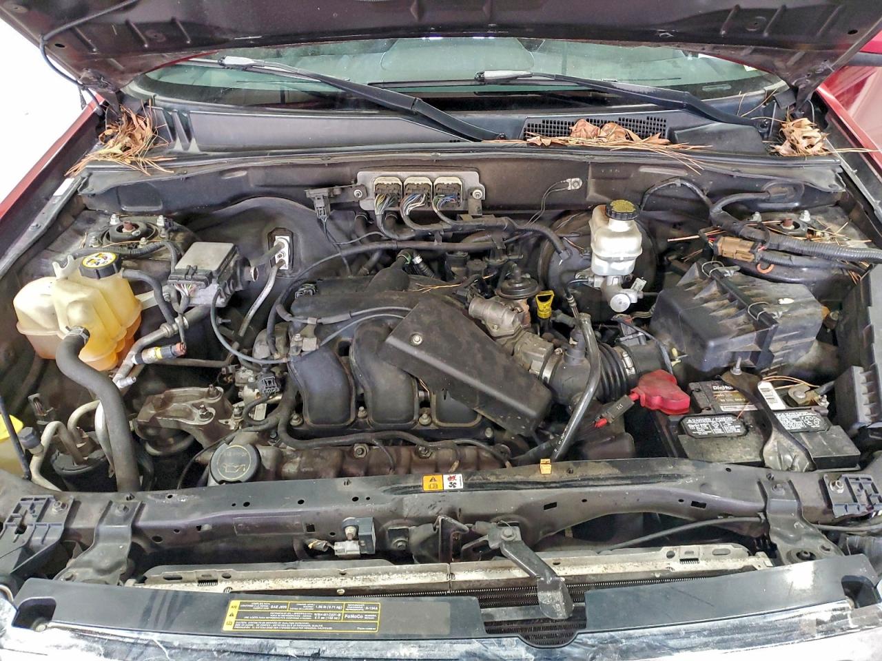2008 FORD ESCAPE LIMITED photo 12