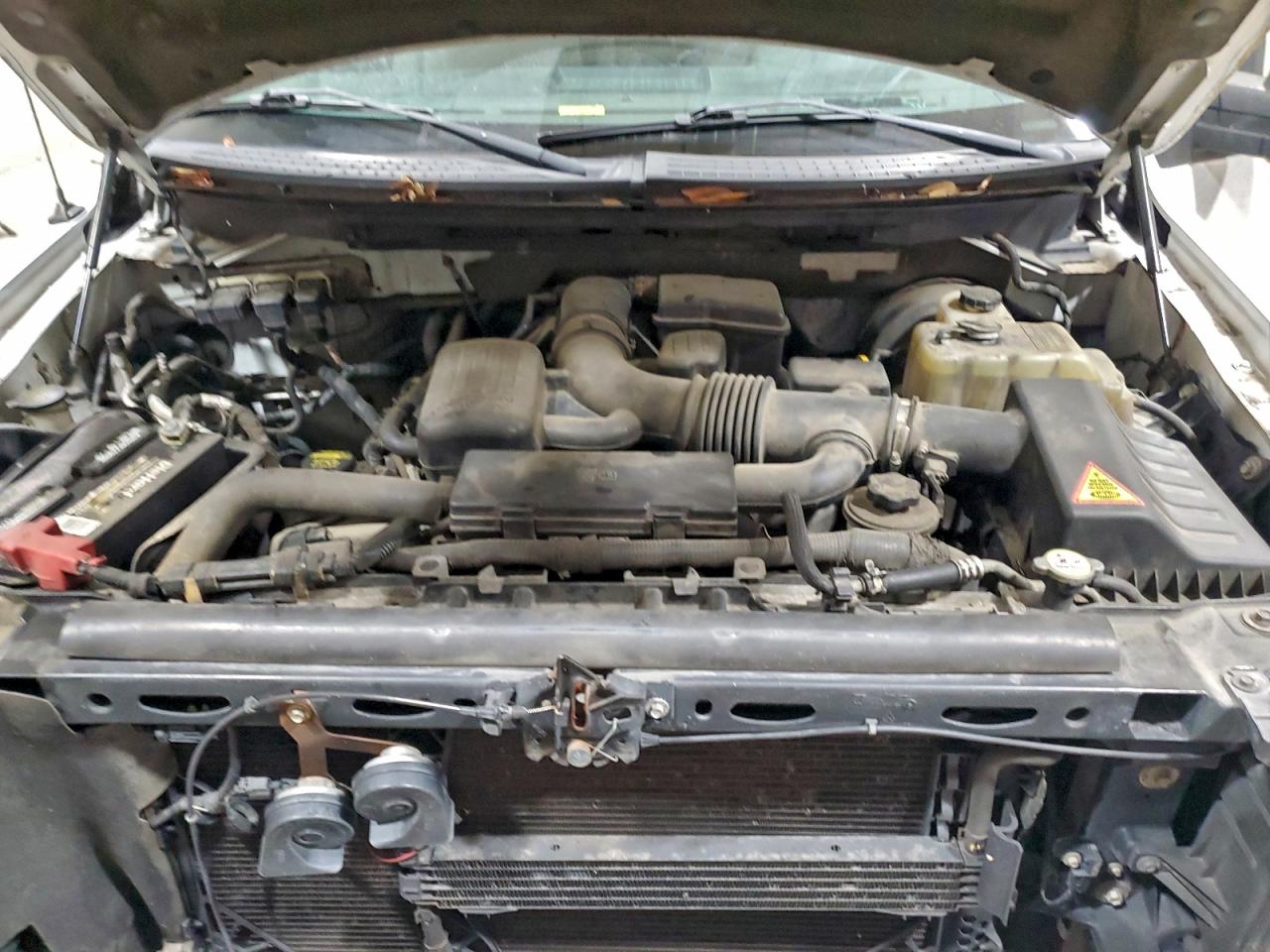 2009 FORD F150 SUPERCREW photo 11