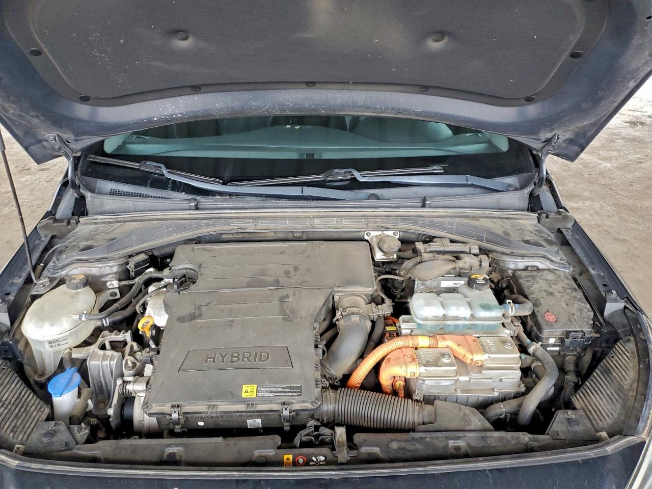 2019 HYUNDAI IONIQ SEL photo 11