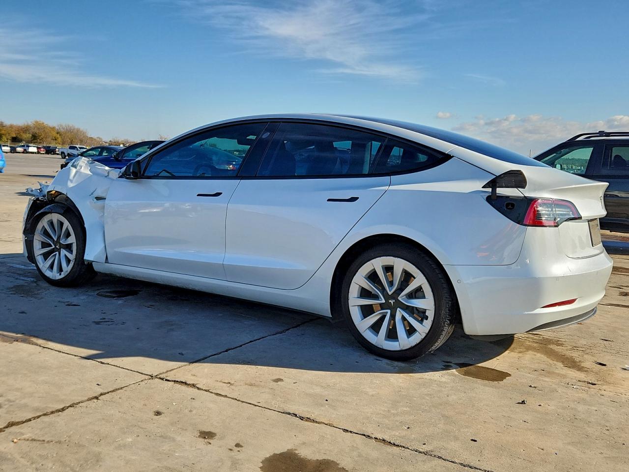 2021 TESLA MODEL 3 photo 3