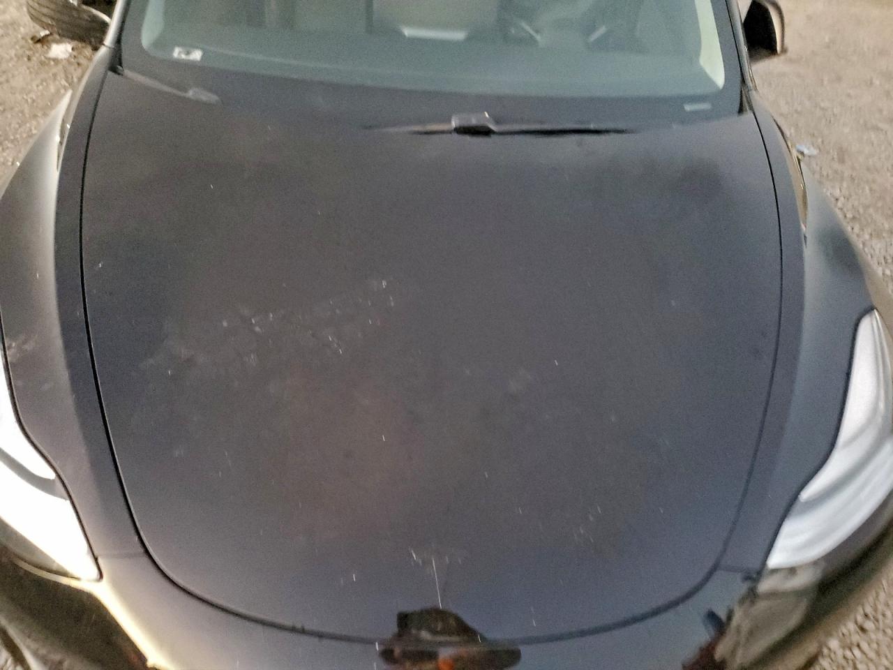 2019 TESLA MODEL 3 photo 31