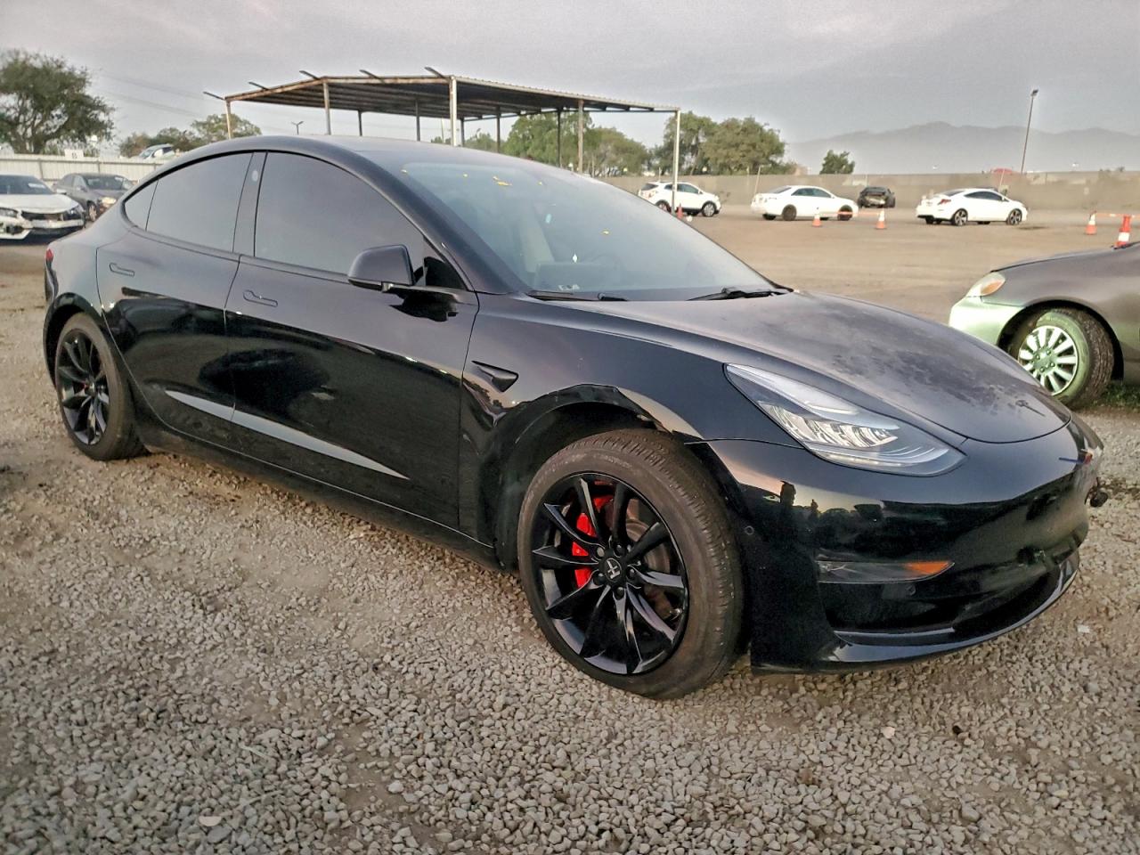 2019 TESLA MODEL 3 photo 10
