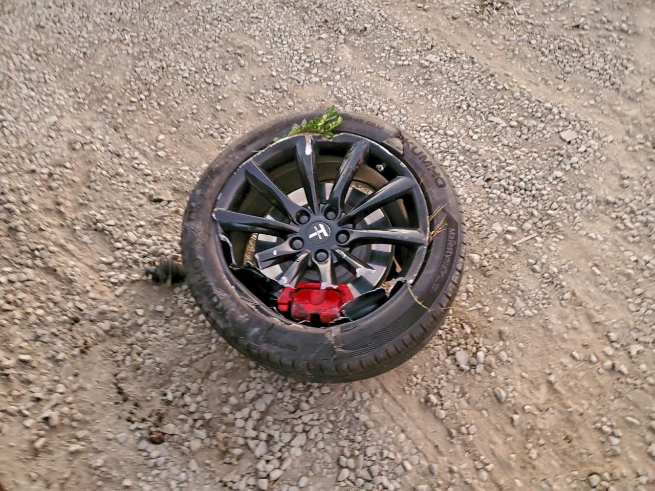 2019 TESLA MODEL 3 photo 34