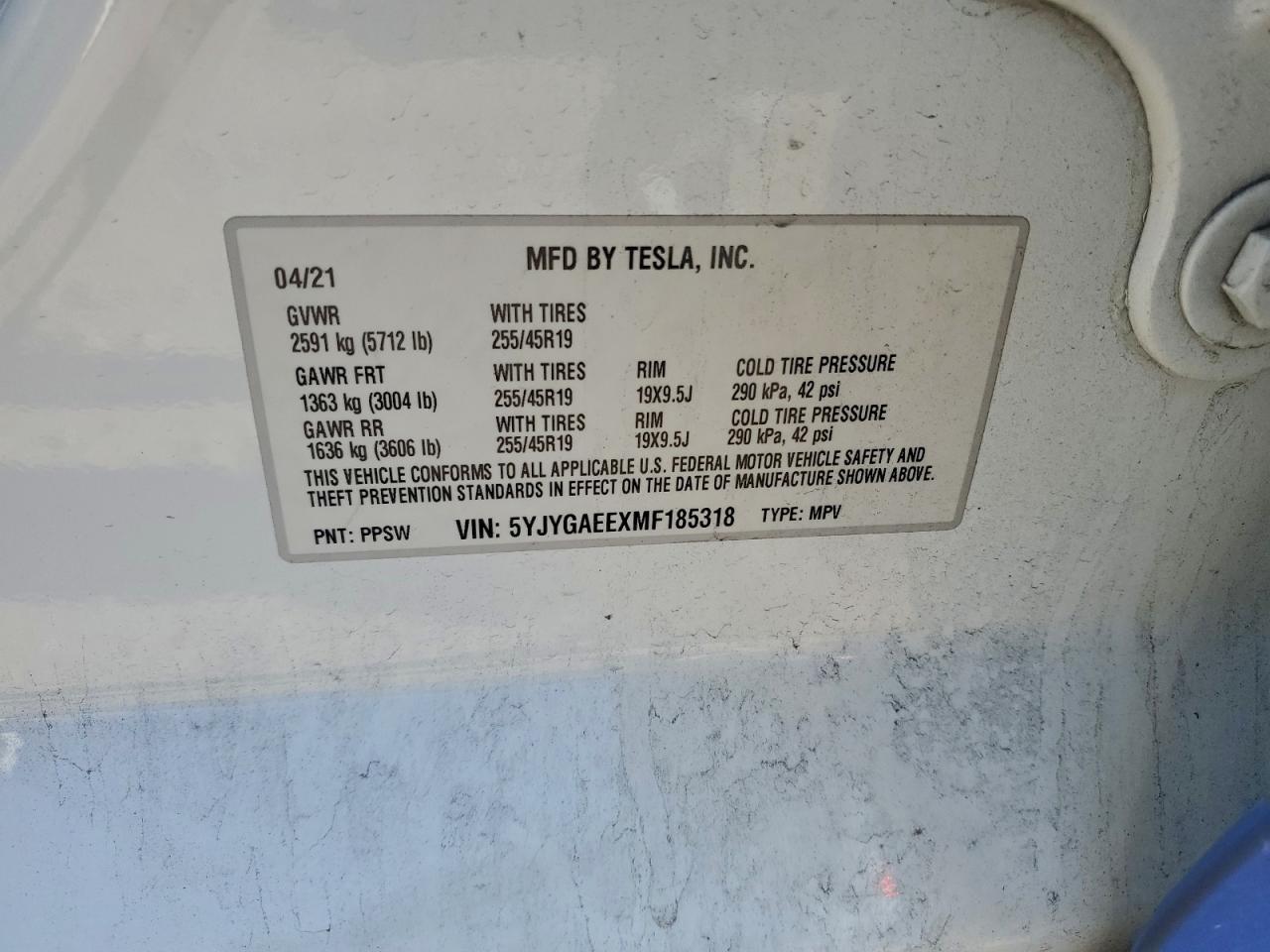 2021 TESLA MODEL Y photo 13