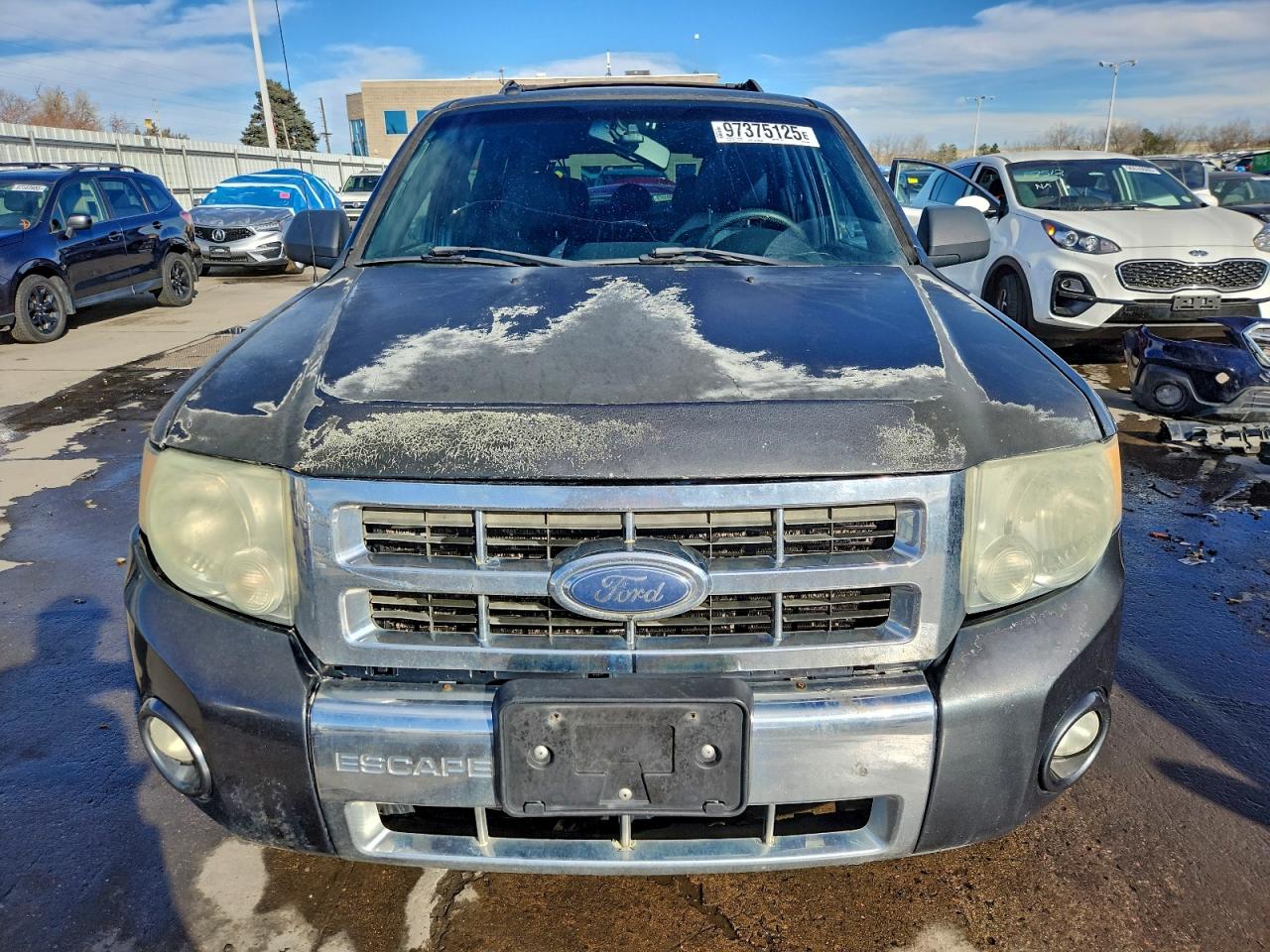 2008 FORD ESCAPE XLT photo 5