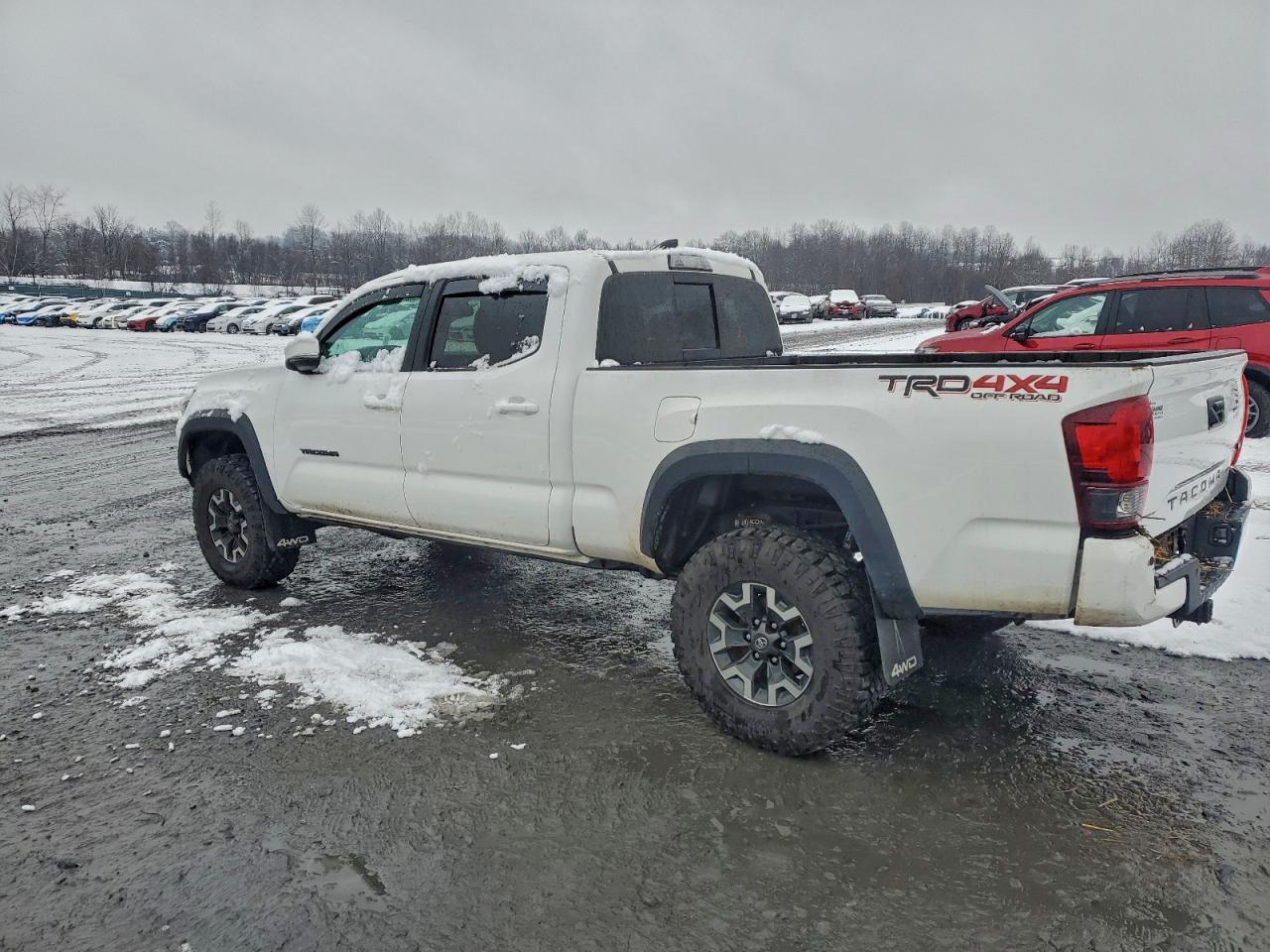 2019 TOYOTA TACOMA DOUBLE CAB photo 3