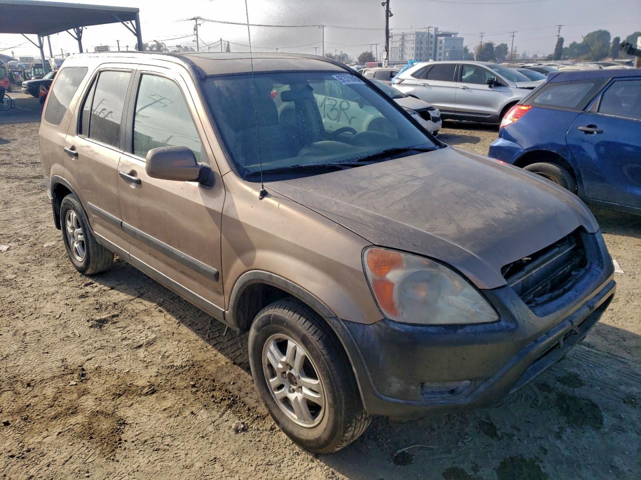 2004 HONDA CR-V EX photo 4