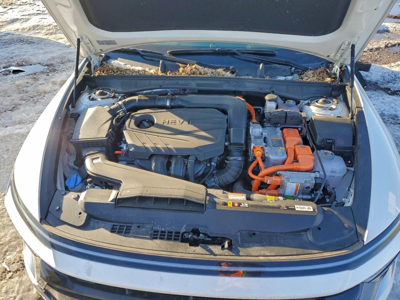 2025 HYUNDAI SONATA HYBRID photo 21