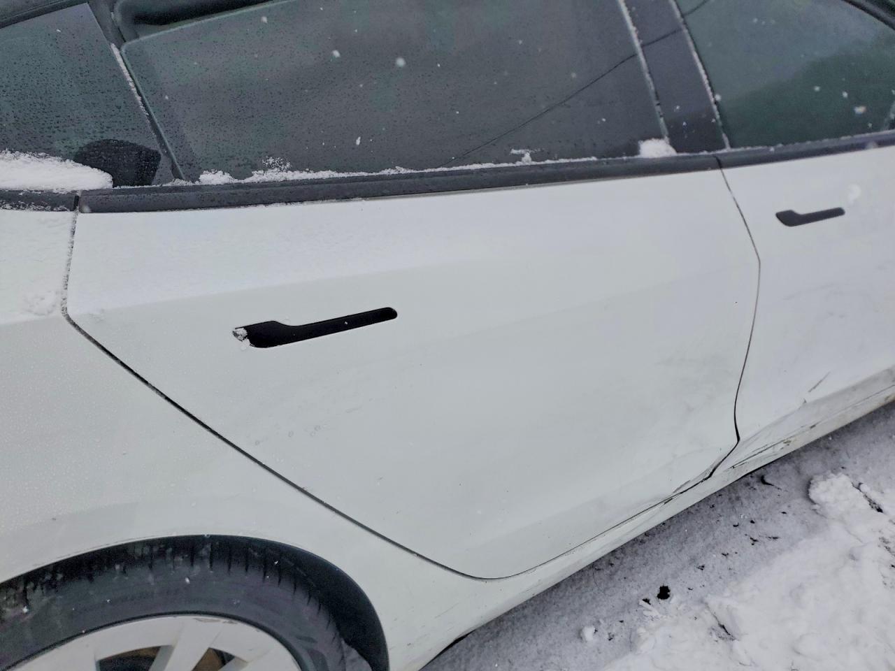2021 TESLA MODEL 3 photo 10