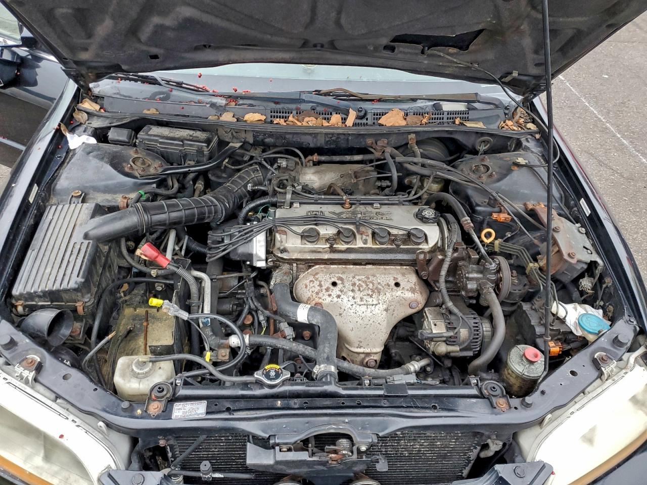 2000 HONDA ACCORD EX photo 11