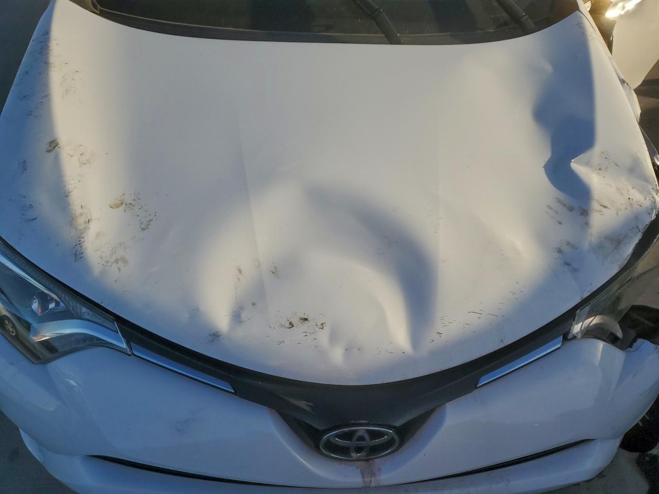 2017 TOYOTA RAV4 XLE photo 12