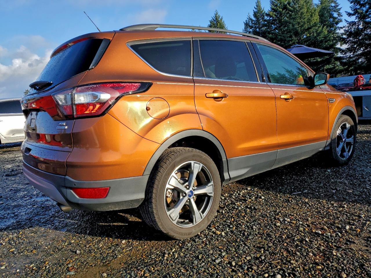 2017 FORD ESCAPE SE photo 5