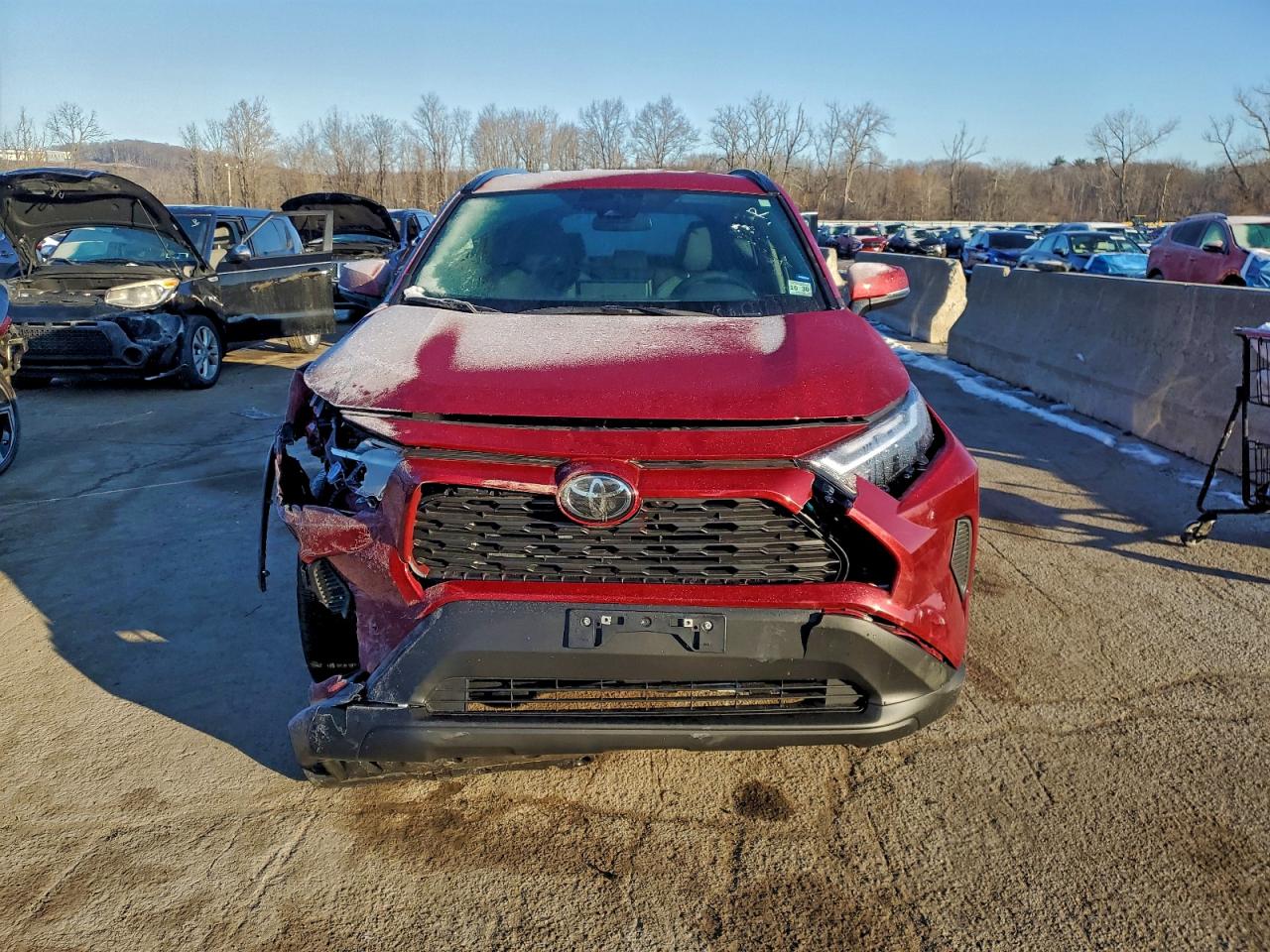 2025 TOYOTA RAV4 XLE photo 5