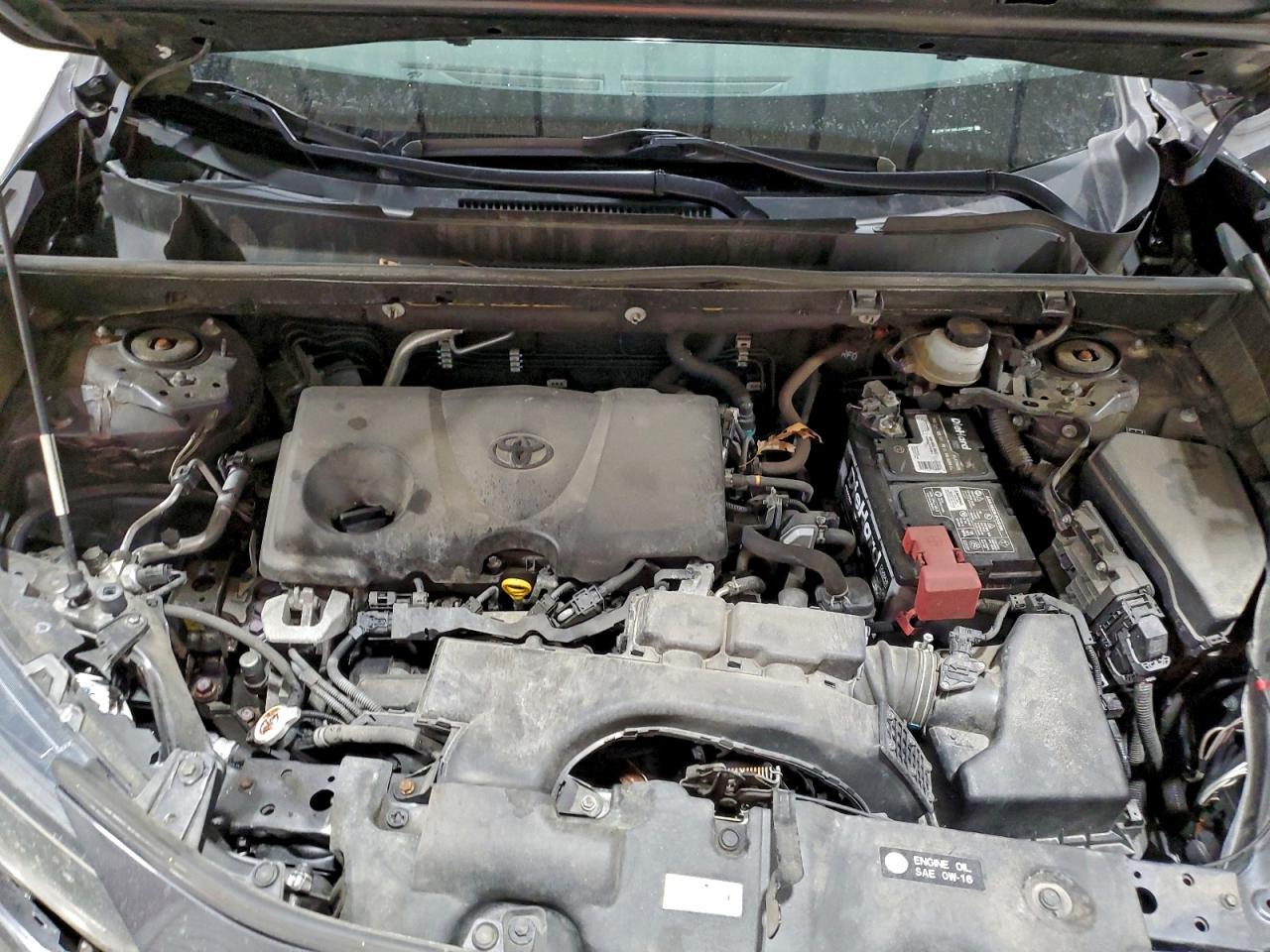 2019 TOYOTA RAV4 LE photo 12