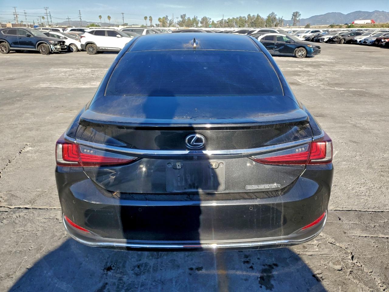 2023 LEXUS ES 300H BASE photo 6
