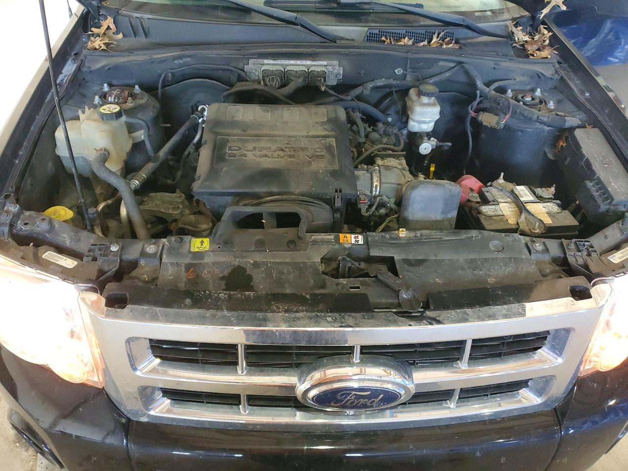 2012 FORD ESCAPE XLT photo 12