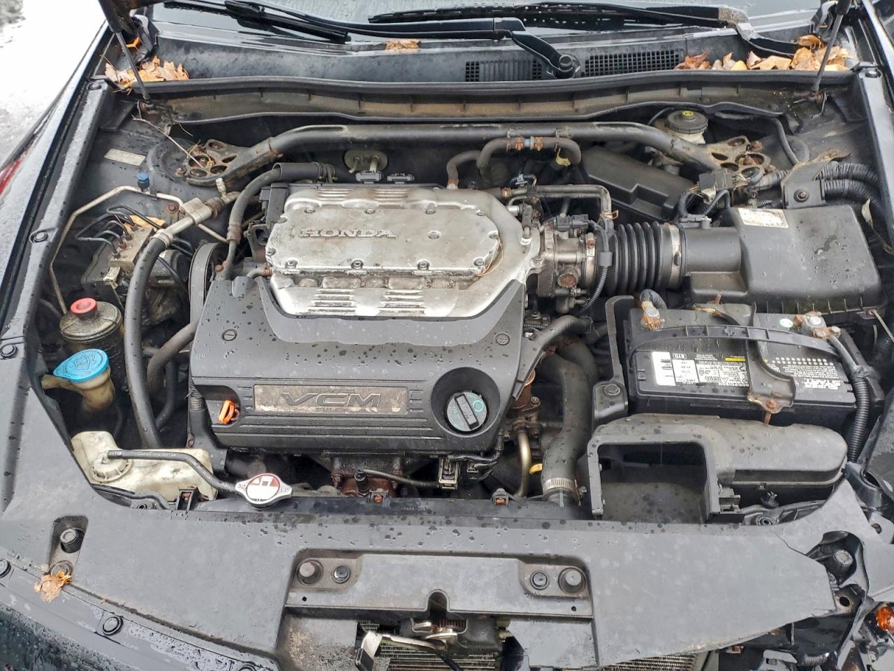 2008 HONDA ACCORD EXL photo 11