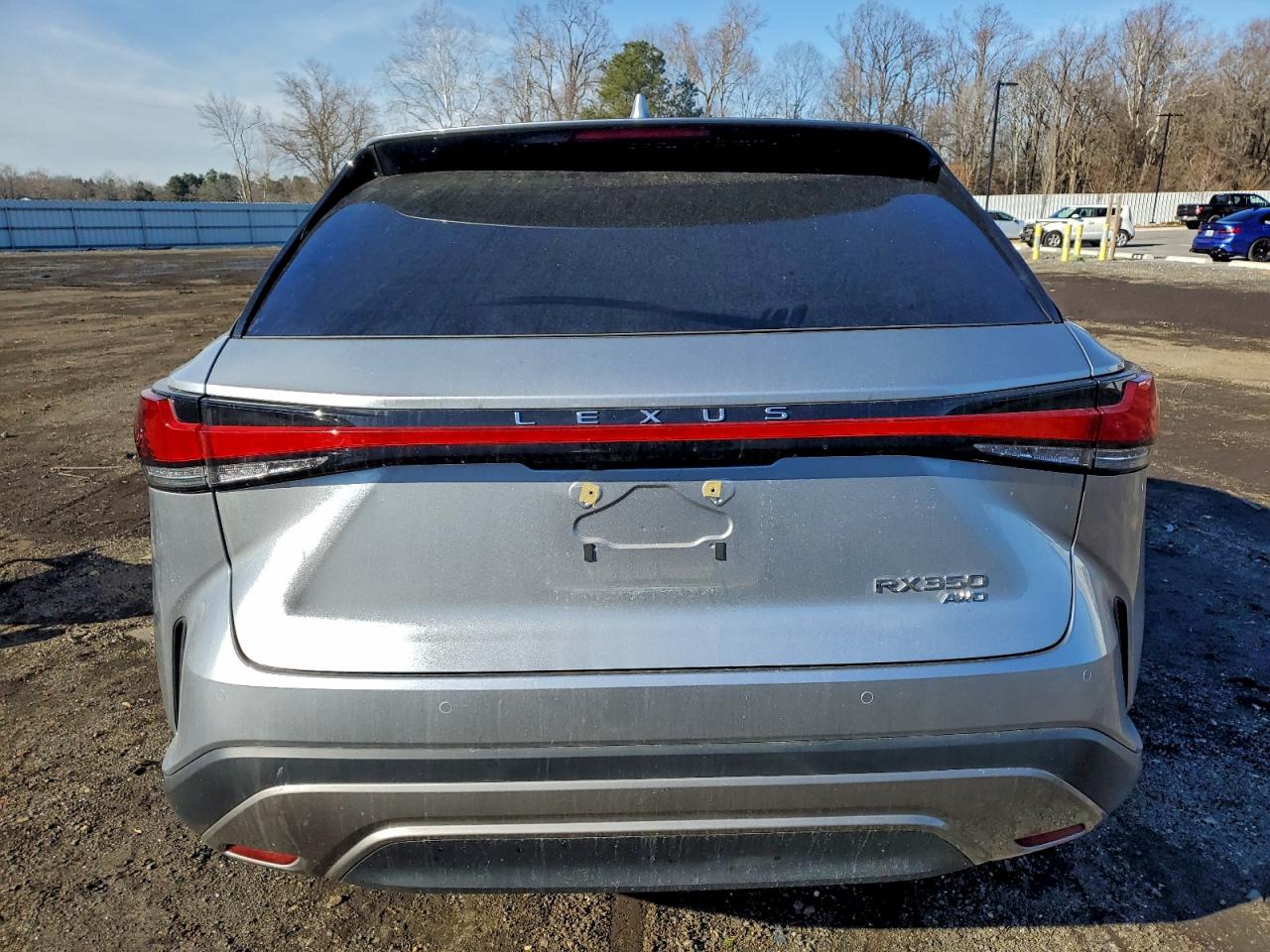 2025 LEXUS RX 350 BASE photo 6