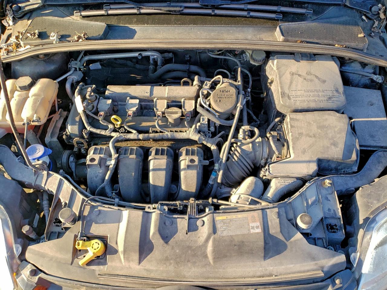 2013 FORD FOCUS SE photo 21