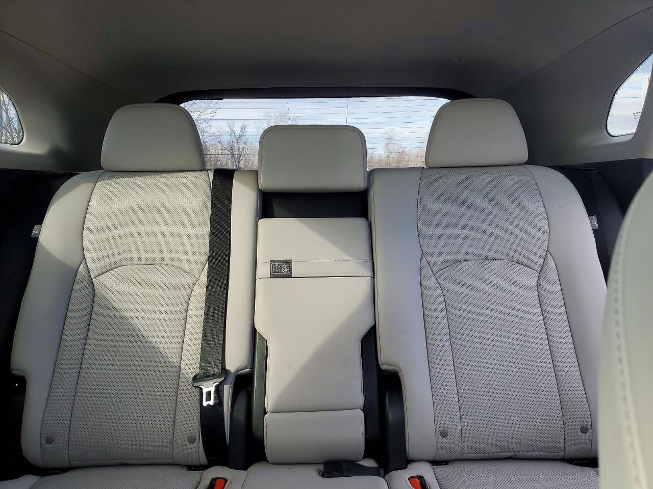 2020 LEXUS RX 350 photo 10