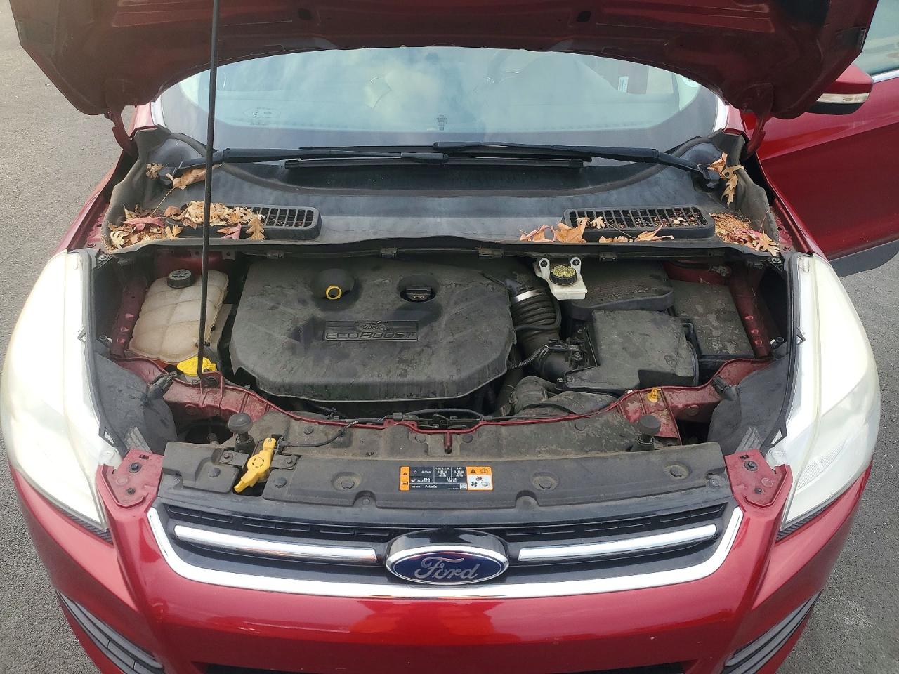 2013 FORD ESCAPE SEL photo 12