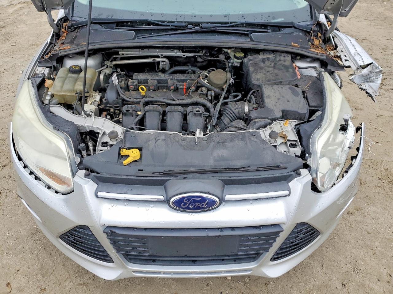 2014 FORD FOCUS SE photo 11