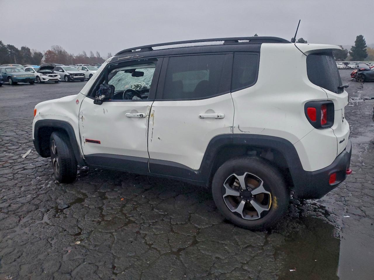 2019 JEEP RENEGADE TRAILHAWK photo 2