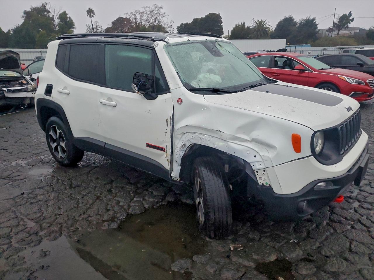 2019 JEEP RENEGADE TRAILHAWK photo 4