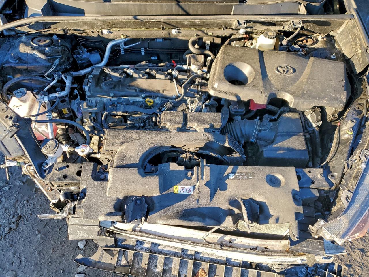 2019 TOYOTA RAV4 LE photo 12